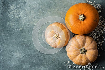 Vibrant Orange Color Pale Peachy Pumpkins of Different Size on Straw on Grey Stone Background. Thanksgiving Fall Stock Photo