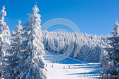 Vibrant panorama of the slope at ski resort Kopaonik, Serbia, people skiing, snow trees, blue sky Stock Photo