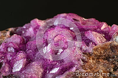 Vibrant pink Cobalto calcite with deep green Malachite mineral Stock Photo