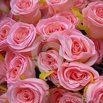 Vibrant pink fake roses top view closeup Stock Photo