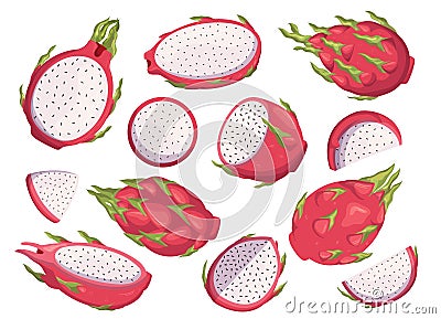 Vibrant Pink-skinned Dragon Fruit With Green Scales, White Flesh Speckled With Black Seeds, Juicy, Sweet Interior Vector Illustration