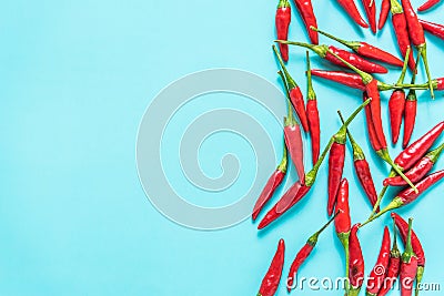 Vibrant red chili on blue background Stock Photo
