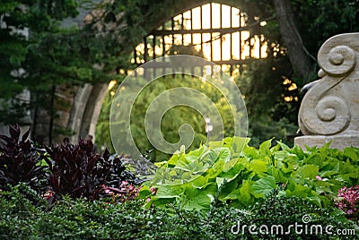 Vibrant shot taken at a beautiful botanical garden Stock Photo