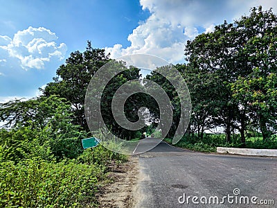 Vibrant Springtime Scenic View of asphalt road connected to the countryside area, big tree covered road like tree tunnel. Stock Photo