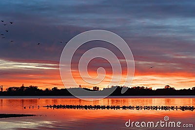 Vibrant sunrise across bay with flock of birds roosting on sandbar Stock Photo