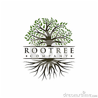 Vibrant tree logo design, tree and root vector. Tree of life logo design Vector Illustration