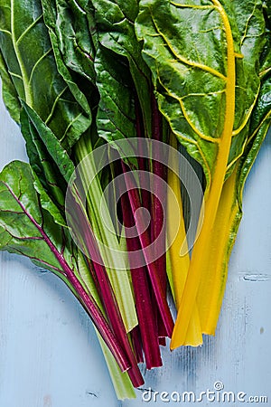 Vibrant vegetable, swiss rainbow chard Stock Photo