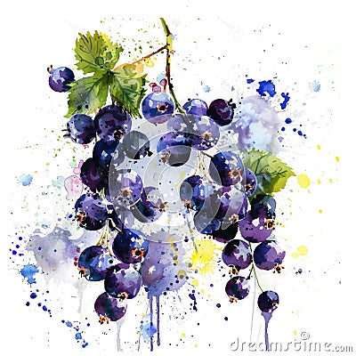 Vibrant watercolor blackcurrants burst with color and life Stock Photo