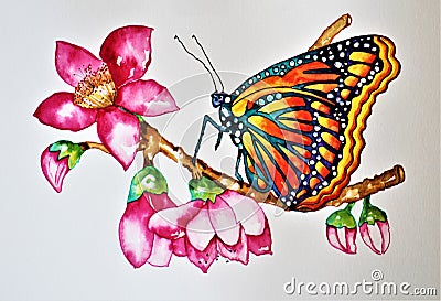 Watercolor Monarch Butterfly on a Red Silk Cotton Tree Stock Photo