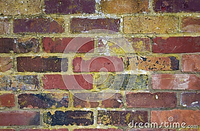 Vibrantly colourful brick wall Stock Photo