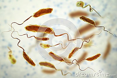 Vibrio cholerae bacteria Cartoon Illustration