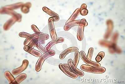 Vibrio cholerae bacteria Cartoon Illustration