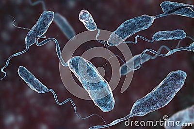 Vibrio cholerae bacteria Cartoon Illustration