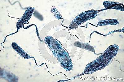 Vibrio cholerae bacteria Cartoon Illustration