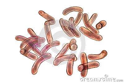 Vibrio cholerae bacteria Cartoon Illustration