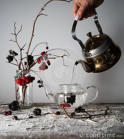Viburnum branches with berries and snow in a transparent vase, female hand pouring water into the kettle. Stock Photo