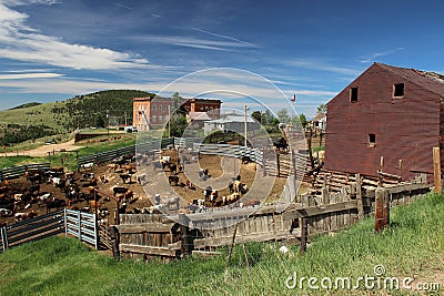 Victor Colorado Cattle Yards Stock Photo
