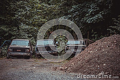 Victoria, Canada - Jul 8, 2022 - Abandoned cars in the forest Editorial Stock Photo