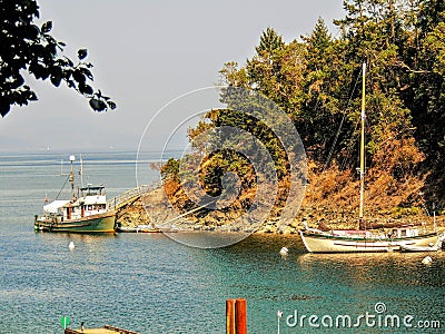 Victoria Canada Ocean Bay Forest and Boats in Harbor Editorial Stock Photo