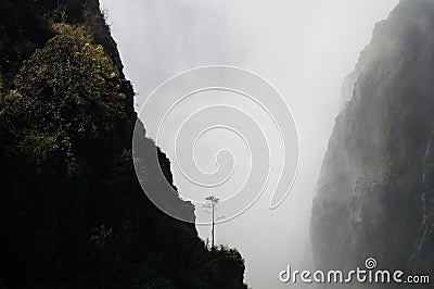 Victoria Falls with Lonely Tree Seen from Victoria Falls Bridge Stock Photo