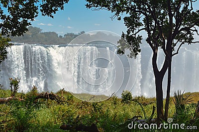 Victoria Falls Stock Photo