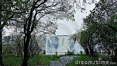 Victoria Falls, Zimbabwe. In the foreground is green grass, trees, a path, a fence in front of the precipice. Stock Photo