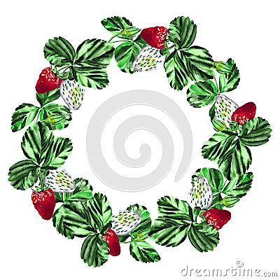 Victoria's basket. Watercolor wreath botanical illustration of strawberry isolated on white background. For your Cartoon Illustration