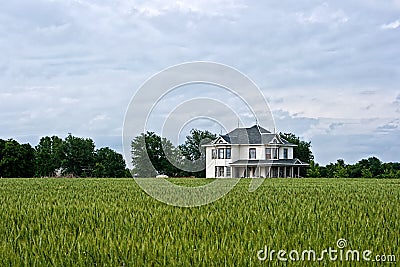 Victorian Farm House and Wheat Field Stock Photo