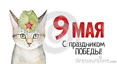 Victory Day May 9 poster with kitten portrait. Stock Photo