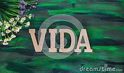 Vida, Life spanish text made with Wooden letters on Hand painted Canvas. Stock Photo