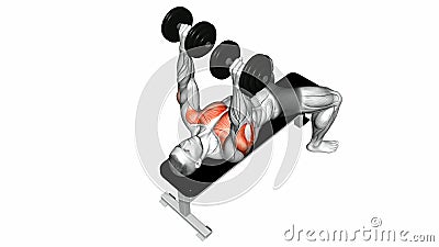 Video Guides Exercising Dumbbell Bench Press Lying Second Emb