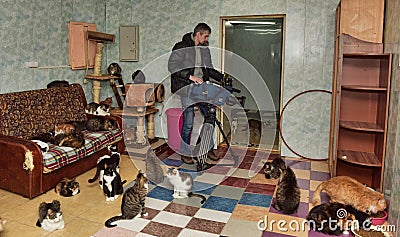 Videographer shoots for television in the cat shelter Editorial Stock Photo