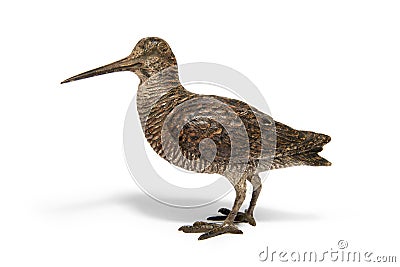 Vienna bronze of woodcock Stock Photo