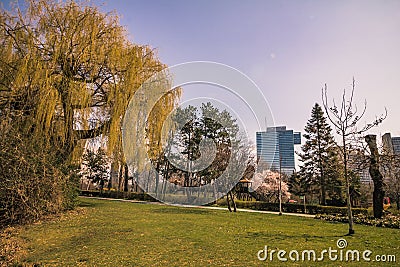 The Vienna Danube Park in spring, Austria Stock Photo