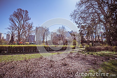 The Vienna Danube Park in spring, Austria Editorial Stock Photo