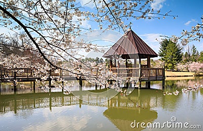 Vienna VA Gazebo Meadowlark Regional Park Spring Stock Photo