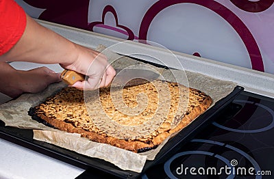 Viennese cookies. Stock Photo