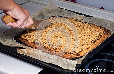 Viennese cookies. Stock Photo