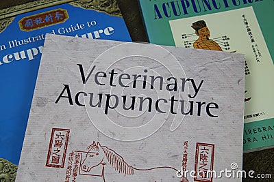 View on pile old english and chinese veterinary acupuncture books Editorial Stock Photo