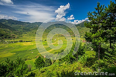 Vietnam Stock Photo