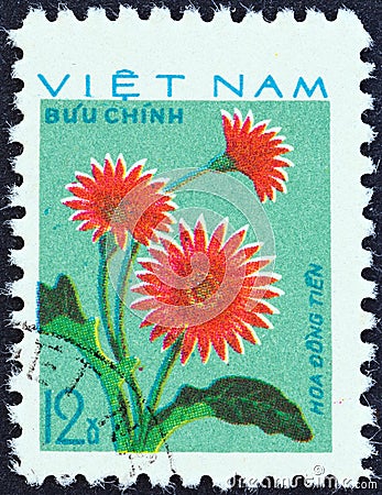 VIETNAM - CIRCA 1977: A stamp printed in Vietnam shows Pink Dahlias Hoa Dong Tien, circa 1977. Editorial Stock Photo