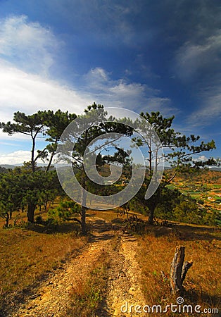 Vietnam Highlands, Dalat Stock Photo