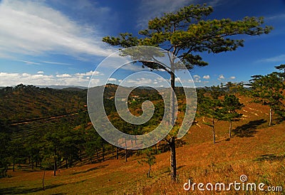 Vietnam Highlands, Dalat Stock Photo