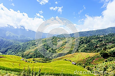 Vietnam landscape: Rice Terraces at Mu Cang Chai, Yen Bai, Viet Nam Stock Photo