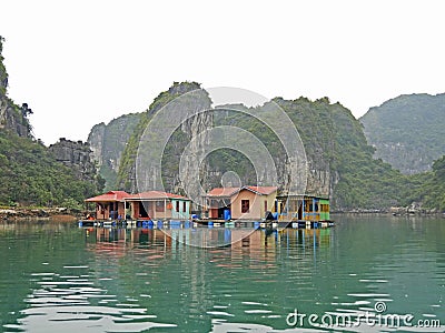 Vietnam, Quang Ninh Area, Halong Bay or Ha Long Bay Unesco World Heritage Site, Vung Vieng Fishing Floating Village Editorial Stock Photo