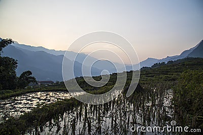 Vietnam rice fields landscape Stock Photo