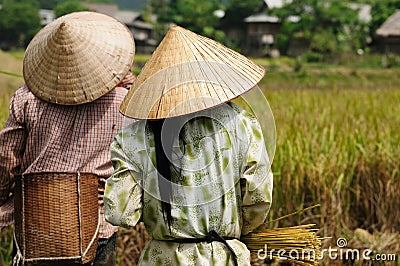 VIetnam - rural scene Editorial Stock Photo