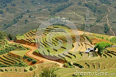 Vietnam, Sapa, Rice Terraces of Sapa Vietnam Stock Photo