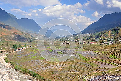 Vietnam, Sapa, Rice Terraces of Sapa Vietnam Stock Photo