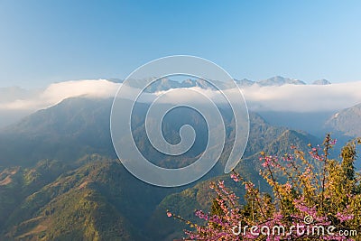 Vietnam, Sapa - Ricefields Stock Photo